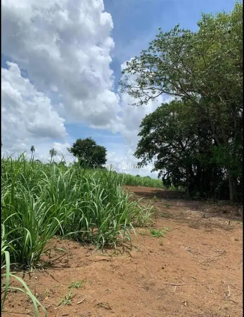 Foto 7 de Sala Comercial à venda, 48772m2 em Cesario Lange - SP