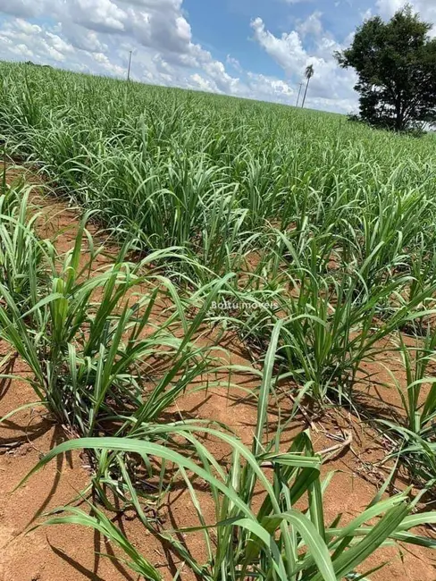 Foto 3 de Sala Comercial à venda, 48772m2 em Cesario Lange - SP