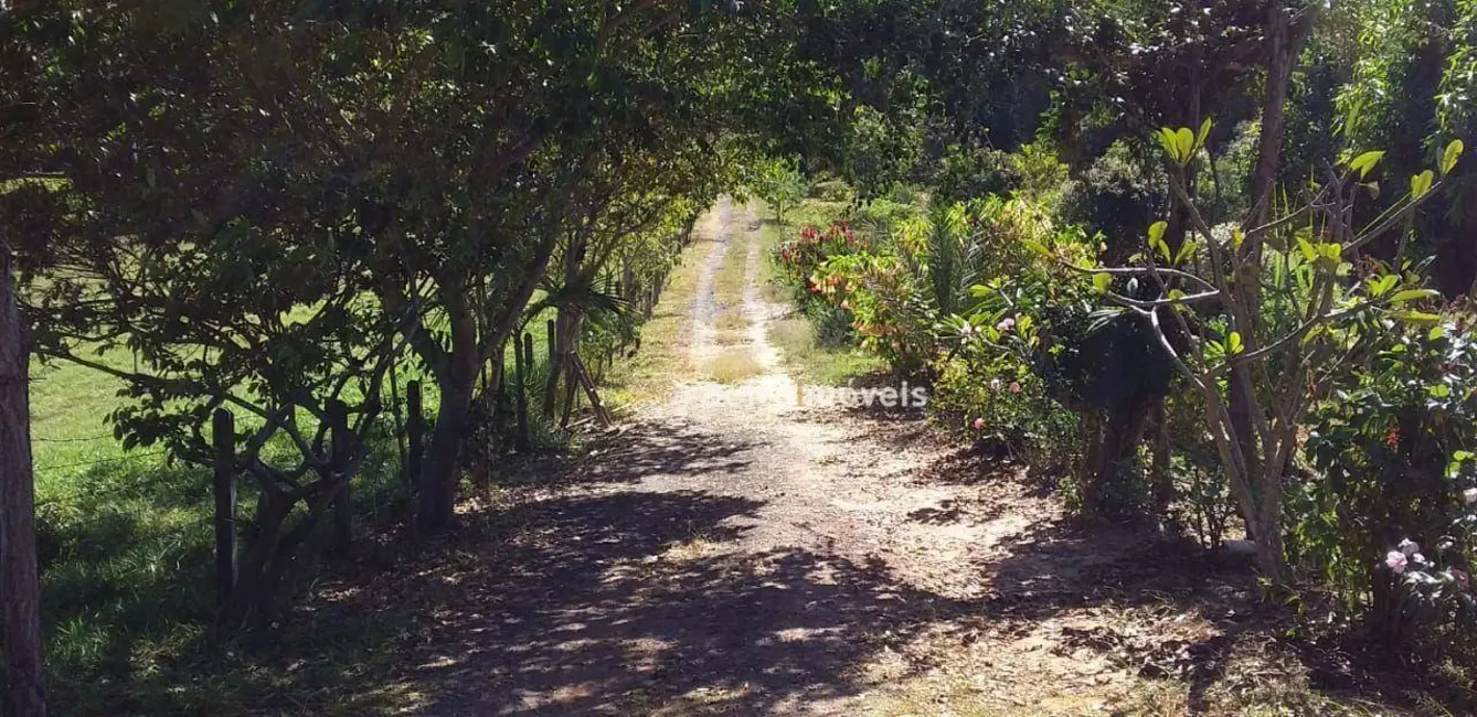 Foto 7 de Sítio / Rancho com 3 quartos à venda, 55000m2 em Porto Feliz - SP