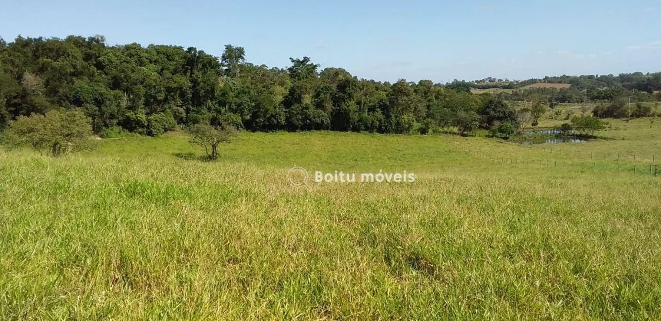 Foto 1 de Sítio / Rancho com 3 quartos à venda, 55000m2 em Porto Feliz - SP