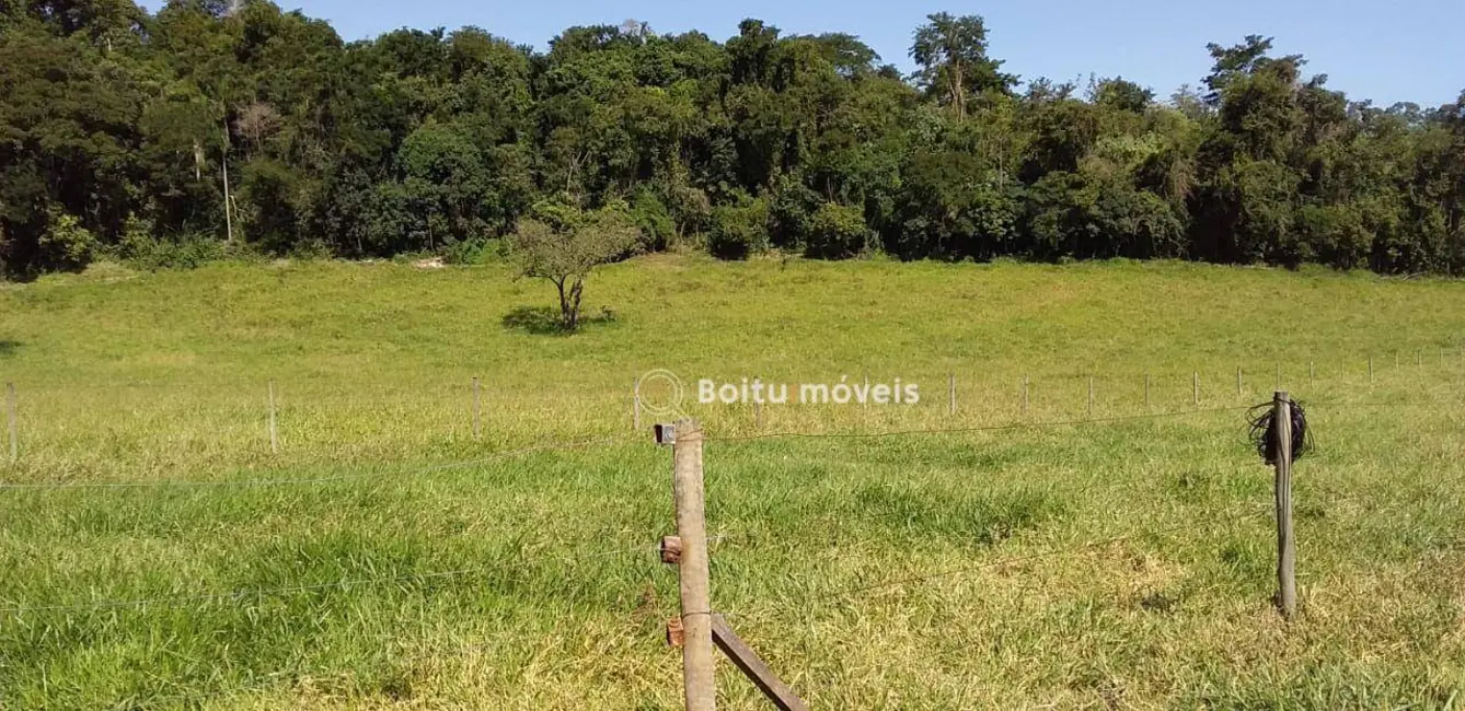 Foto 3 de Sítio / Rancho com 3 quartos à venda, 55000m2 em Porto Feliz - SP
