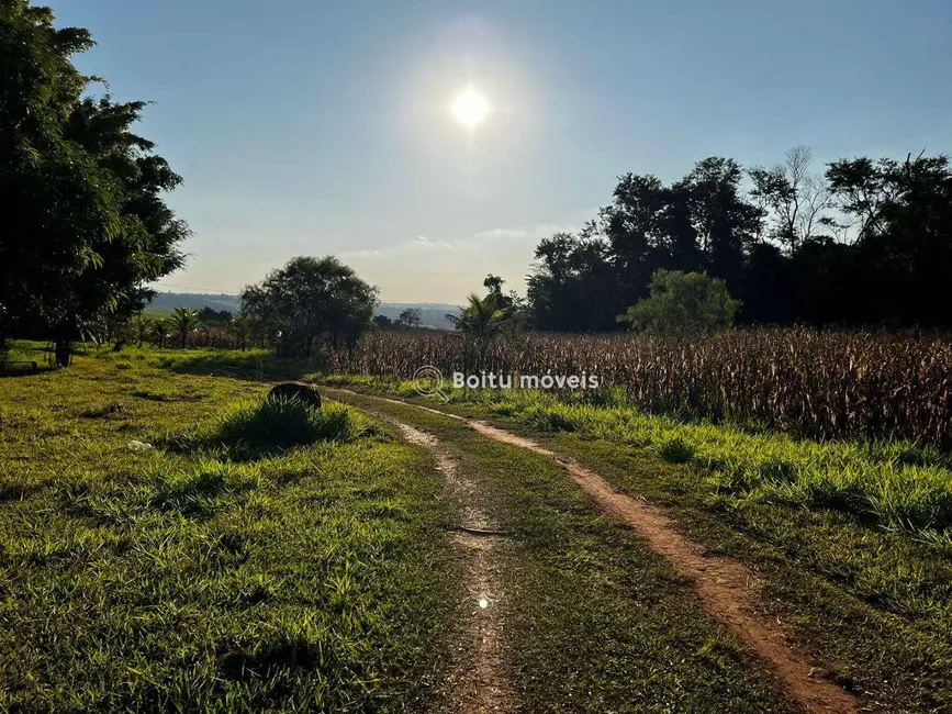 Foto 9 de Sítio / Rancho com 3 quartos à venda, 20000m2 em Boituva - SP