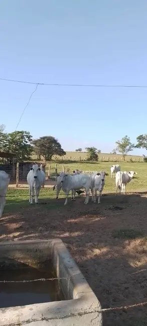 Sítio / Rancho com 2 quartos à venda, 48400m2 em Tatui - SP - imagem 5 Foto 5 de Sítio / Rancho com 2 quartos à venda, 48400m2 em Tatui - SP