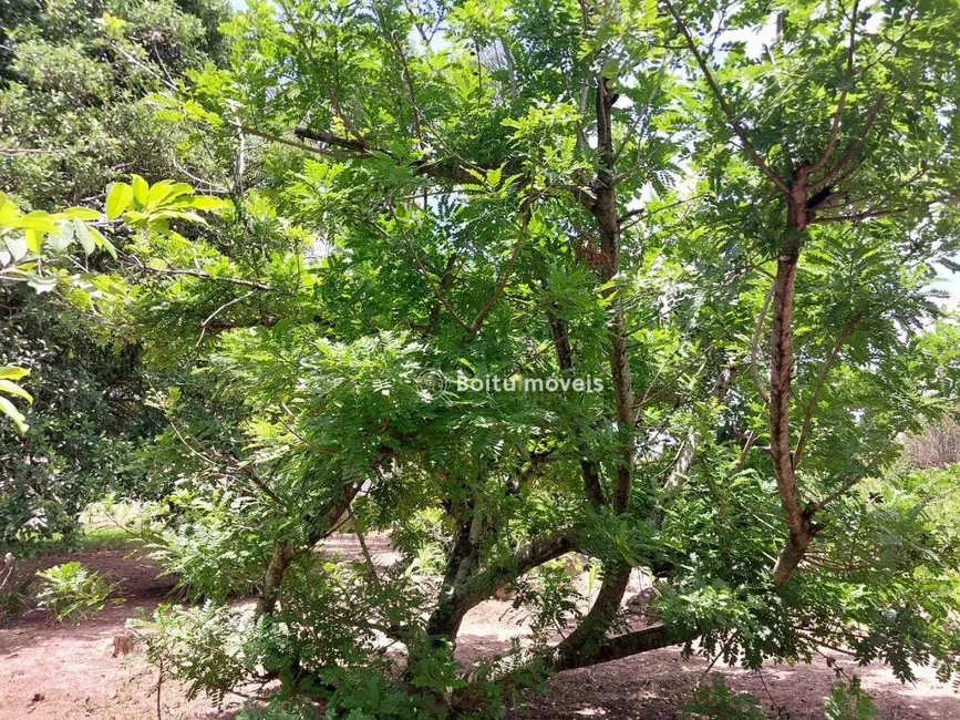 Chácara com 4 quartos à venda, 5600m2 em Capao Bonito - SP - imagem 4 Foto 4 de Chácara com 4 quartos à venda, 5600m2 em Capao Bonito - SP