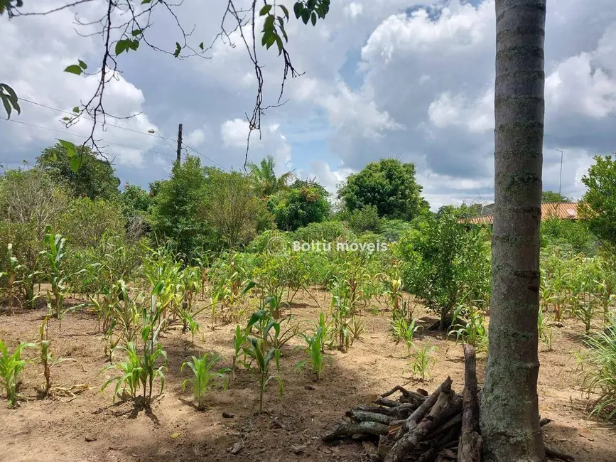 Chácara com 4 quartos à venda, 5600m2 em Capao Bonito - SP - imagem 5 Foto 5 de Chácara com 4 quartos à venda, 5600m2 em Capao Bonito - SP