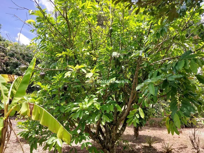 Chácara com 4 quartos à venda, 6000m2 em Capao Bonito - SP - imagem 4 Foto 4 de Chácara com 4 quartos à venda, 6000m2 em Capao Bonito - SP