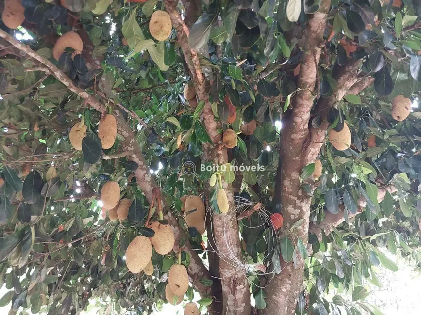 Chácara com 4 quartos à venda, 6000m2 em Capao Bonito - SP - imagem 6 Foto 6 de Chácara com 4 quartos à venda, 6000m2 em Capao Bonito - SP