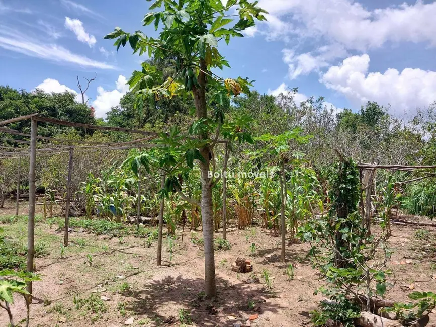 Chácara com 4 quartos à venda, 6000m2 em Capao Bonito - SP - imagem 5 Foto 5 de Chácara com 4 quartos à venda, 6000m2 em Capao Bonito - SP