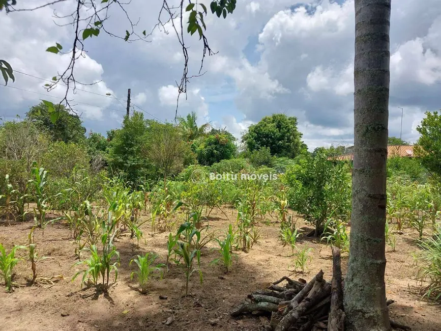 Chácara com 4 quartos à venda, 6000m2 em Capao Bonito - SP - imagem 3 Foto 3 de Chácara com 4 quartos à venda, 6000m2 em Capao Bonito - SP