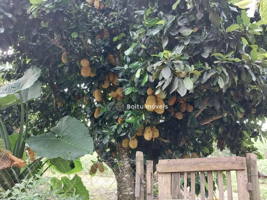 Chácara com 4 quartos à venda, 6000m2 em Capao Bonito - SP - imagem 9 Foto 9 de Chácara com 4 quartos à venda, 6000m2 em Capao Bonito - SP