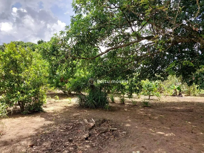 Foto 2 de Chácara com 4 quartos à venda, 6000m2 em Capao Bonito - SP