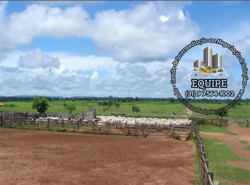 Foto 14 de Fazenda / Haras à venda em Rondolandia - MT