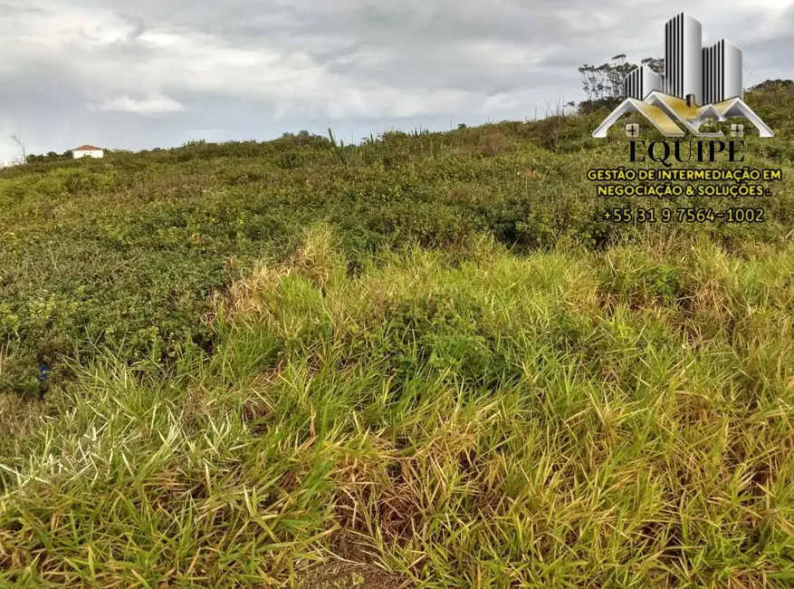 Terreno / Lote à venda e para alugar, 35000m2 em São José do Barreto, Macae - RJ - imagem 9 Foto 9 de Terreno / Lote à venda e para alugar, 35000m2 em São José do Barreto, Macae - RJ