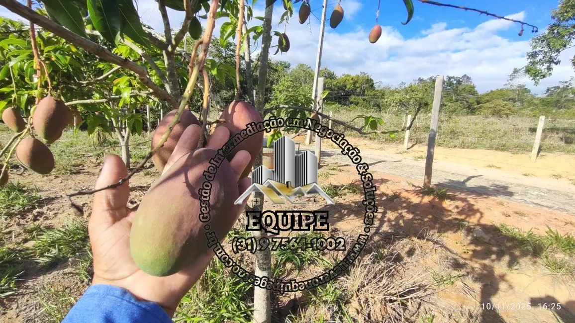 Sítio / Rancho à venda em Área Rural de Santa Luzia, Santa Luzia - MG - imagem 6 Foto 6 de Sítio / Rancho à venda em Área Rural de Santa Luzia, Santa Luzia - MG