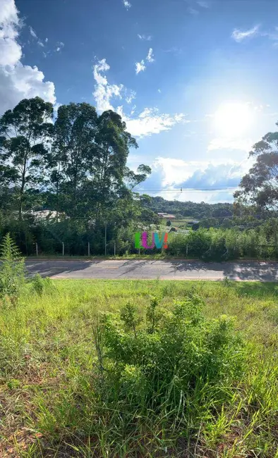 Terreno / Lote à venda, 272m2 em Loteamento Jardim das Paineiras, Itatiba - SP - imagem 5 Foto 5 de Terreno / Lote à venda, 272m2 em Loteamento Jardim das Paineiras, Itatiba - SP