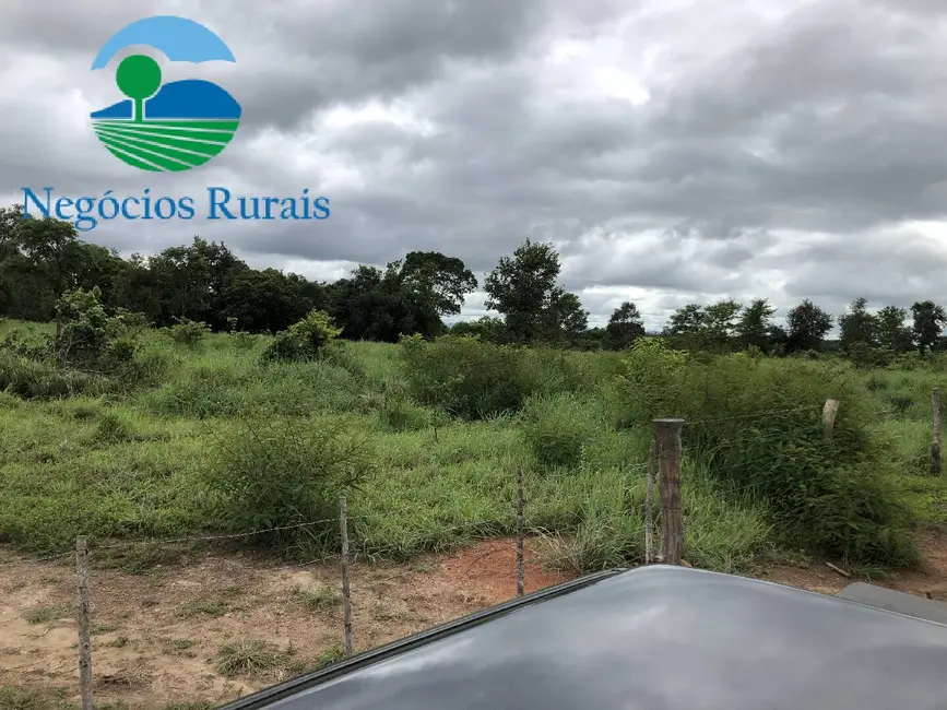 Foto 2 de Fazenda / Haras à venda, 261m2 em Alto Horizonte - GO