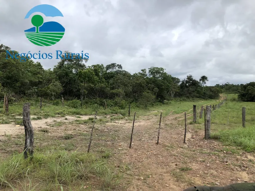 Foto 3 de Fazenda / Haras à venda, 261m2 em Alto Horizonte - GO