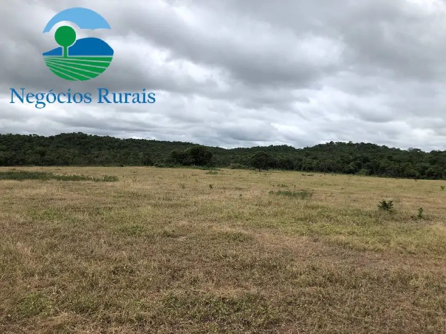 Foto 1 de Fazenda / Haras à venda, 261m2 em Alto Horizonte - GO