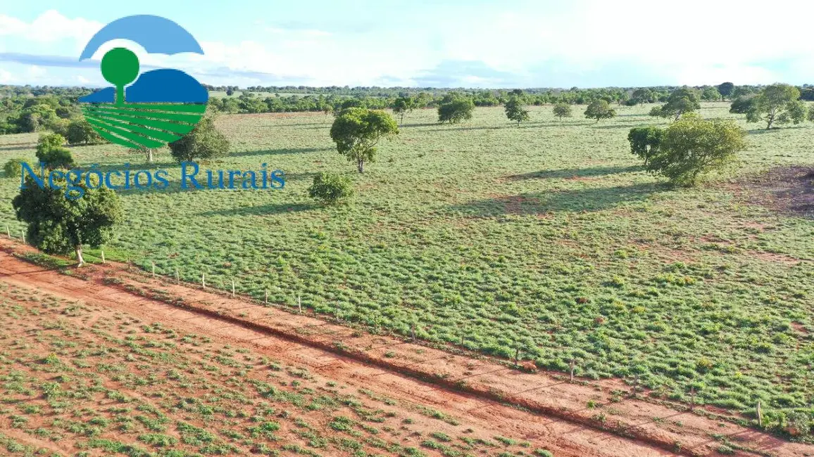 Foto 4 de Fazenda / Haras à venda, 817m2 em Novo Planalto - GO