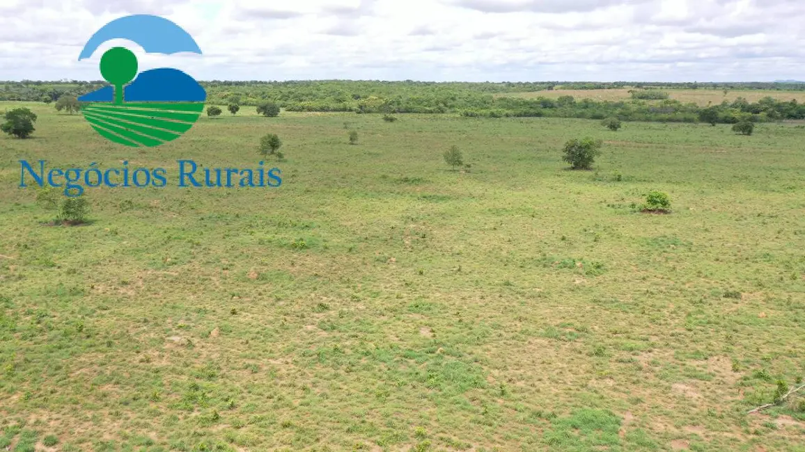 Foto 6 de Fazenda / Haras com 3 quartos à venda, 629m2 em Jau Do Tocantins - TO