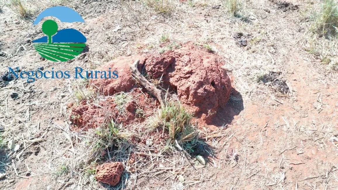 Fazenda / Haras à venda, 493m2 em Montividiu Do Norte - GO - imagem 2 Foto 2 de Fazenda / Haras à venda, 493m2 em Montividiu Do Norte - GO