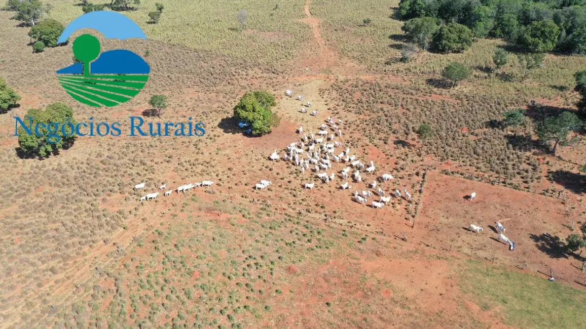 Fazenda / Haras à venda, 493m2 em Montividiu Do Norte - GO - imagem 5 Foto 5 de Fazenda / Haras à venda, 493m2 em Montividiu Do Norte - GO