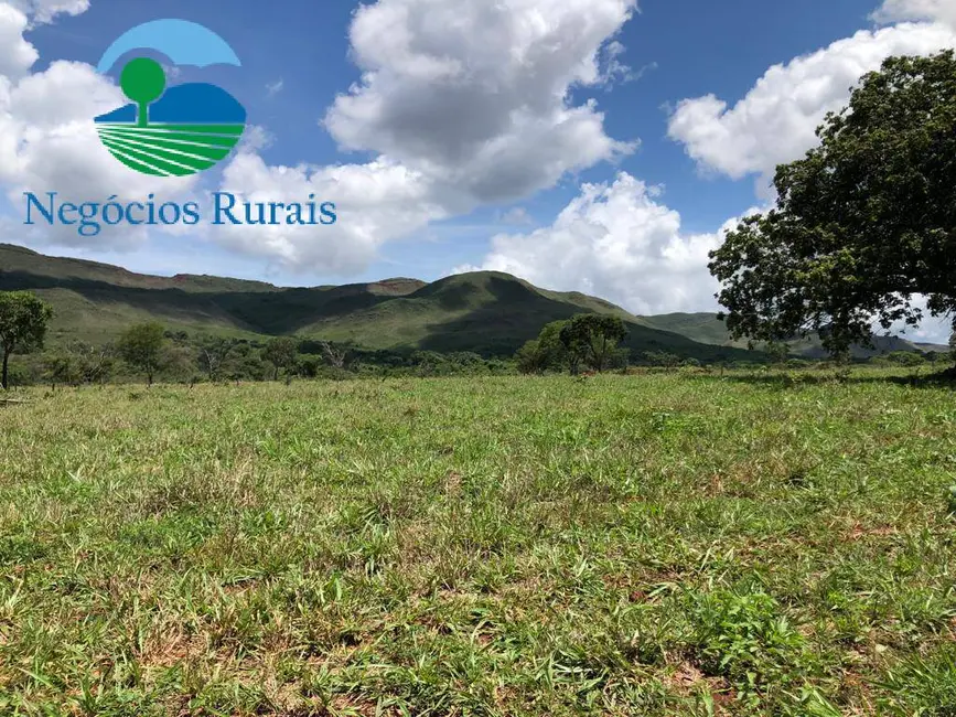 Fazenda / Haras à venda, 614m2 em Niquelandia - GO - imagem 8 Foto 8 de Fazenda / Haras à venda, 614m2 em Niquelandia - GO