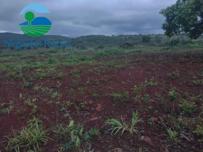 Fazenda / Haras à venda, 614m2 em Niquelandia - GO - imagem 6 Foto 6 de Fazenda / Haras à venda, 614m2 em Niquelandia - GO