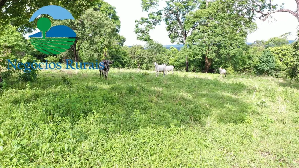 Foto 6 de Fazenda / Haras com 1 quarto à venda, 1055m2 em Formoso - GO