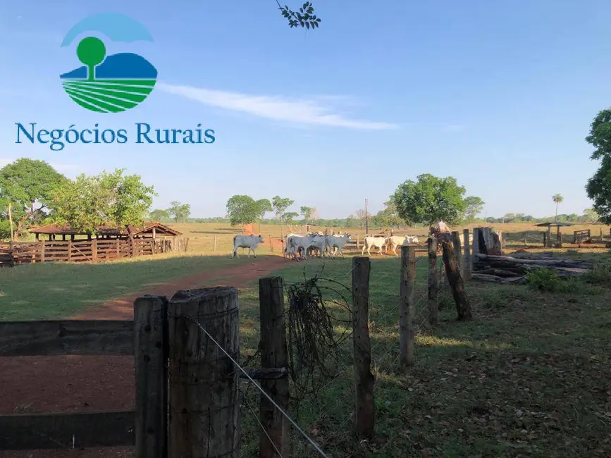 Foto 6 de Fazenda / Haras com 1 quarto à venda, 16m2 em Uruacu - GO