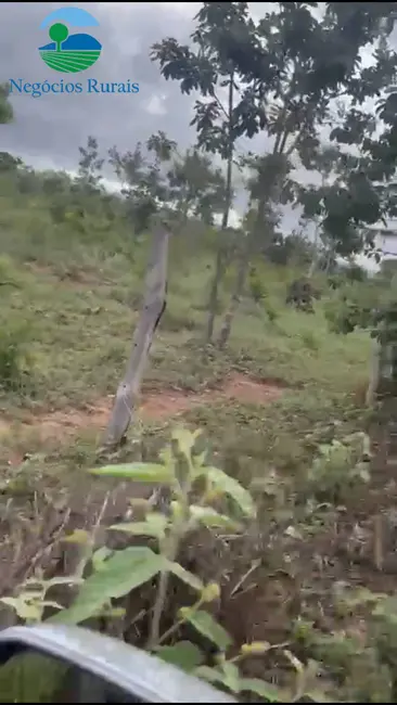 Foto 2 de Fazenda / Haras com 1 quarto à venda, 16m2 em Uruacu - GO