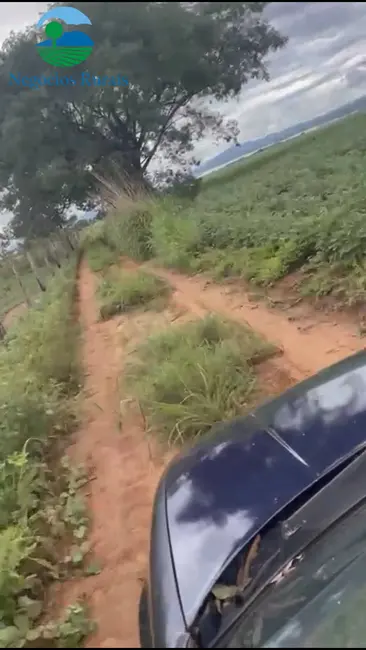 Foto 3 de Fazenda / Haras com 1 quarto à venda, 16m2 em Uruacu - GO