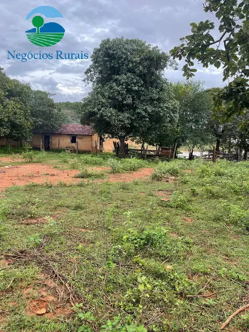 Foto 4 de Fazenda / Haras com 1 quarto à venda, 16m2 em Uruacu - GO