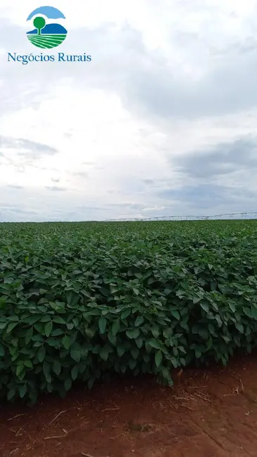 Foto 1 de Fazenda / Haras com 1 quarto à venda, 242m2 em Goiania - GO
