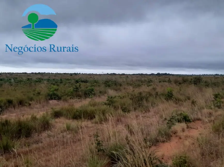 Foto 6 de Fazenda / Haras com 1 quarto à venda, 1665m2 em Palmeirante - TO
