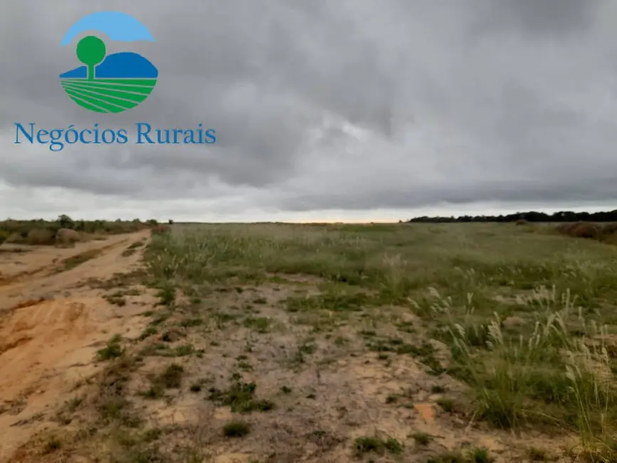 Foto 7 de Fazenda / Haras com 1 quarto à venda, 1665m2 em Palmeirante - TO