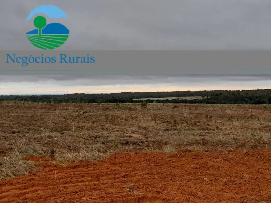 Foto 2 de Fazenda / Haras com 1 quarto à venda, 1665m2 em Palmeirante - TO