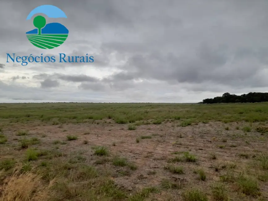 Foto 5 de Fazenda / Haras com 1 quarto à venda, 1665m2 em Palmeirante - TO