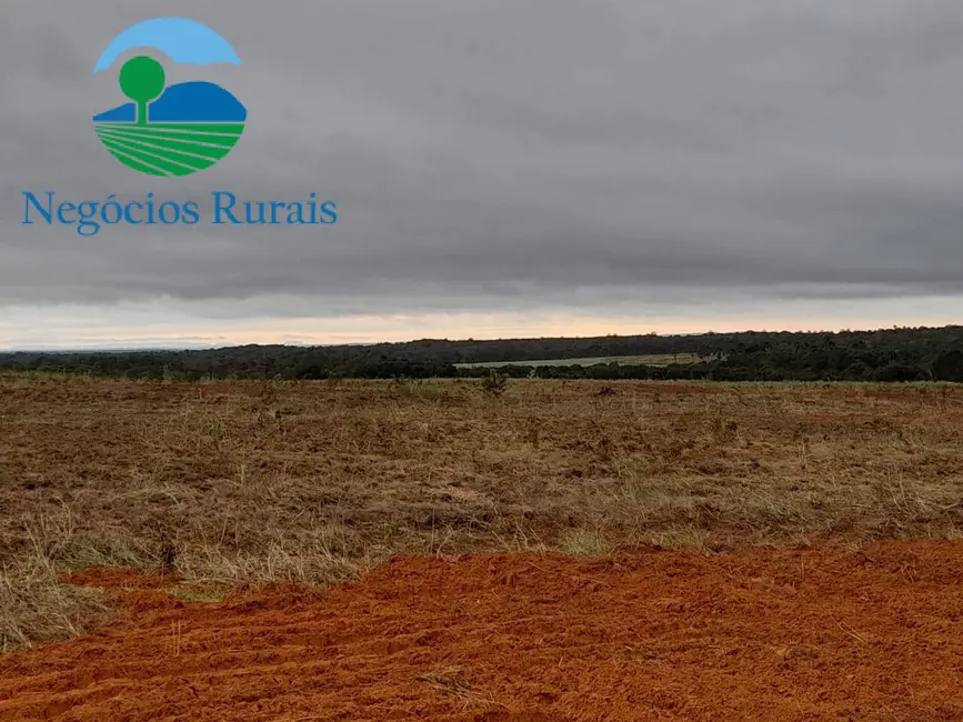 Foto 9 de Fazenda / Haras com 1 quarto à venda, 1665m2 em Palmeirante - TO