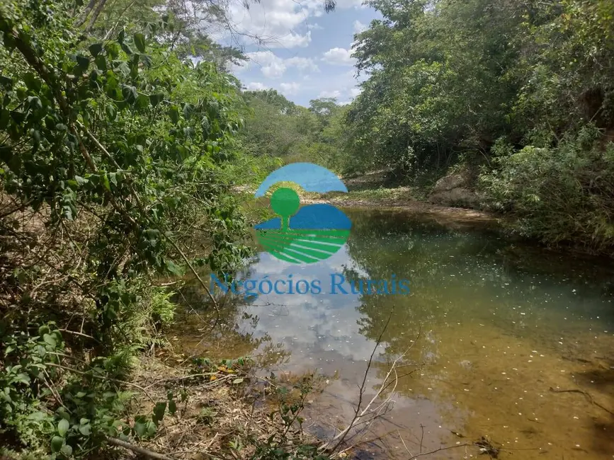 Fazenda / Haras com 1 quarto à venda, 58m2 em Padre Bernardo - GO - imagem 4 Foto 4 de Fazenda / Haras com 1 quarto à venda, 58m2 em Padre Bernardo - GO