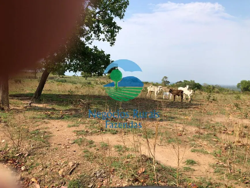 Foto 8 de Fazenda / Haras com 1 quarto à venda, 726m2 em Uruacu - GO