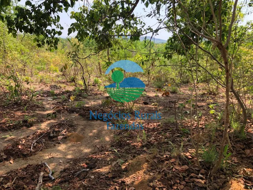 Foto 7 de Fazenda / Haras com 1 quarto à venda, 726m2 em Uruacu - GO