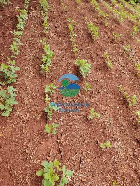 Foto 4 de Fazenda / Haras com 1 quarto à venda, 68m2 em Formiga - MG