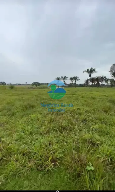 Fazenda / Haras com 1 quarto à venda, 1621m2 em Wanderlandia - TO - imagem 9 Foto 9 de Fazenda / Haras com 1 quarto à venda, 1621m2 em Wanderlandia - TO