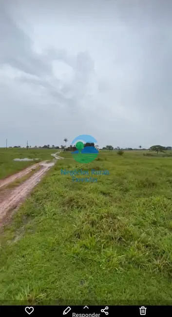 Fazenda / Haras com 1 quarto à venda, 1621m2 em Wanderlandia - TO - imagem 4 Foto 4 de Fazenda / Haras com 1 quarto à venda, 1621m2 em Wanderlandia - TO