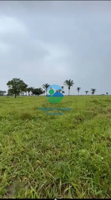 Fazenda / Haras com 1 quarto à venda, 1621m2 em Wanderlandia - TO - imagem 8 Foto 8 de Fazenda / Haras com 1 quarto à venda, 1621m2 em Wanderlandia - TO