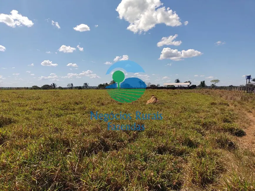 Fazenda / Haras com 1 quarto à venda, 1621m2 em Wanderlandia - TO - imagem 6 Foto 6 de Fazenda / Haras com 1 quarto à venda, 1621m2 em Wanderlandia - TO