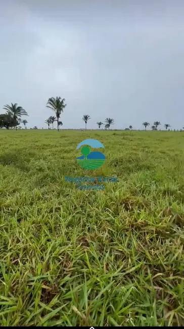 Fazenda / Haras com 1 quarto à venda, 1621m2 em Wanderlandia - TO - imagem 7 Foto 7 de Fazenda / Haras com 1 quarto à venda, 1621m2 em Wanderlandia - TO