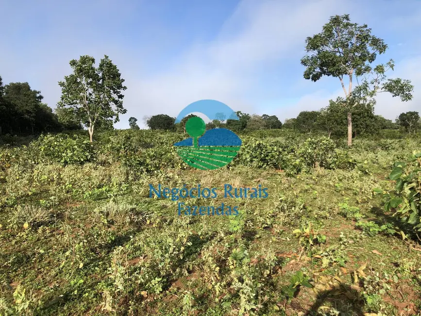 Foto 9 de Fazenda / Haras com 1 quarto à venda, 561m2 em Porangatu - GO