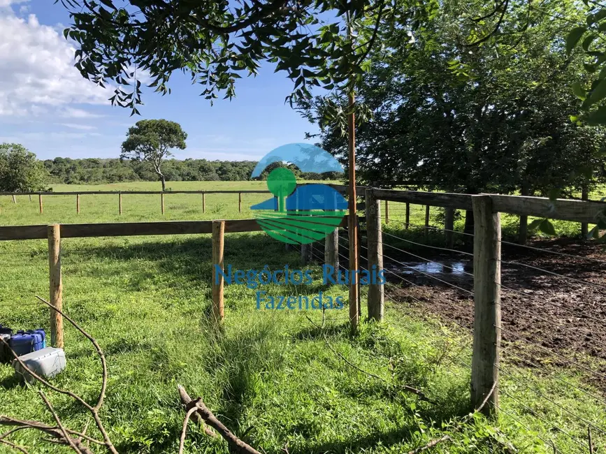 Foto 3 de Fazenda / Haras com 1 quarto à venda, 561m2 em Porangatu - GO